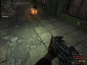 Ночная зорка.jpg