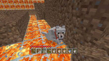 Lava Room