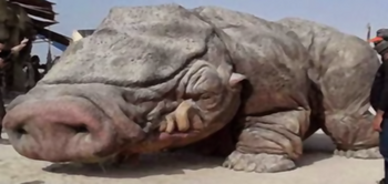 Unidentified desert creature
