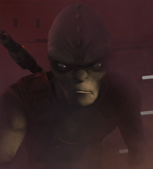 Rukh Star Wars Rebels