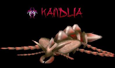 IntroKandlia