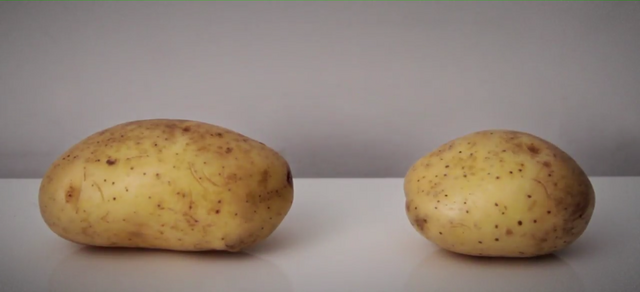File:Potato-Killgar and Potato-Hogstrong.png
