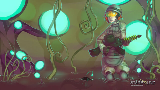 Soubor:Human3.jpg
