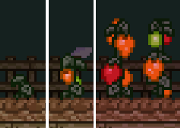 180px-Avesmingo growth.png
