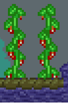 ChiliPlant