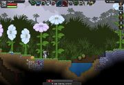 Giant Flowers