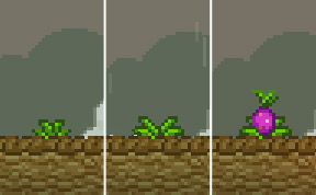 Toxictop growth