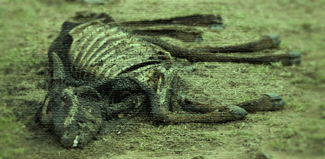 File:MassacreVidStill.jpg