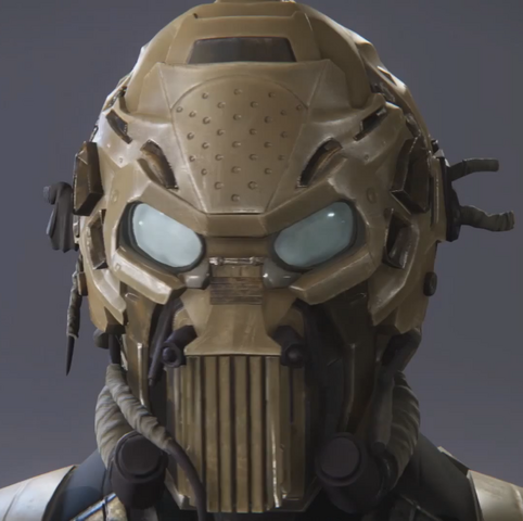 File:Privateer helmet.png
