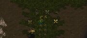 Protoss SC1 Game1