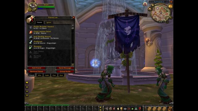 File:Battle.net 015 - WoW Friends.jpg