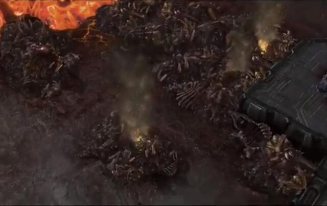 File:BoneTrench SC2-HotS Game1.jpg