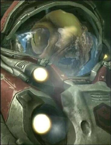 File:Grunty SC2 DevHead1.jpg