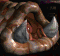 Mutalisk SC1 AnimHead1