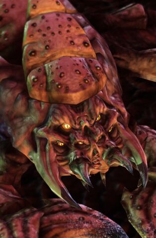 File:Drone SC2 Head1.jpg