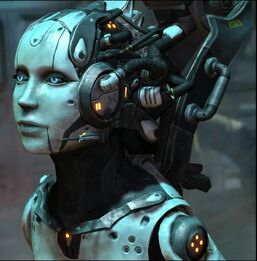 Adjutant.jpg