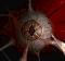 Zergeye2.gif