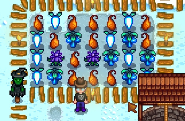 Winter Seeds | Stardew Valley Wiki | FANDOM powered by Wikia Winter Seeds | Stardew Valley Wiki | FANDOM powered by Wikia