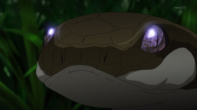 File:Ginta First Phase Snake.jpg
