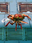 Battlemite