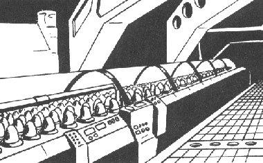 File:Eornic Ark.jpg