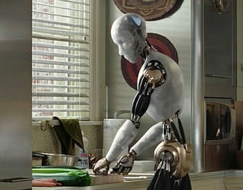 Service Robot
