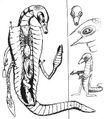 Thumbnail for version as of 20:16, January 28, 2008