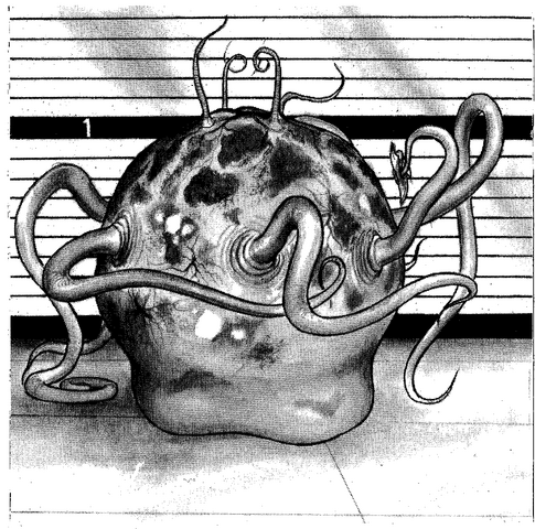 File:Zethra.png