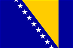 Bosnia flag