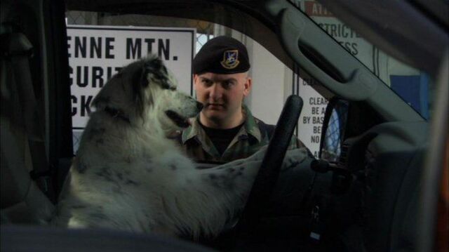 File:DogDriver.jpg