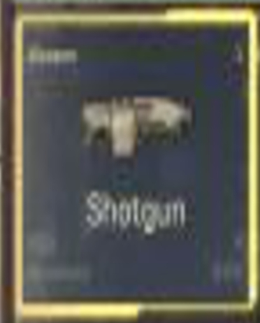 File:SHotgun.jpg
