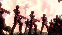SO4 - Phantoms
