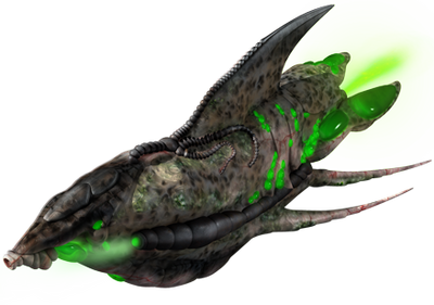 XenXnair