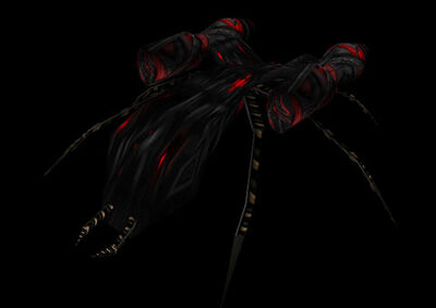 Spider