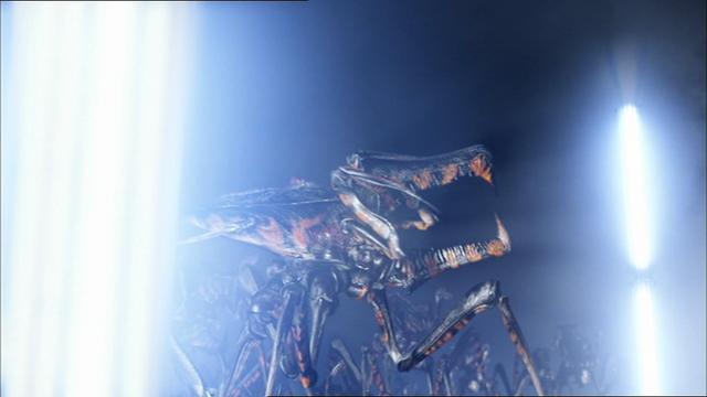 File:Vlcsnap-149795.png