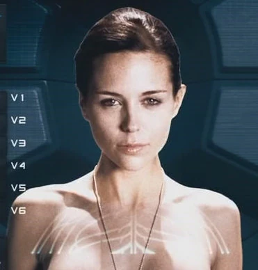 Image - St3-sunday-film-entry.jpg | Starship Troopers Wiki | FANDOM