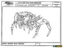 Nurser Spider