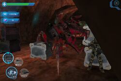 Sti-royalwarriorbug-game-1