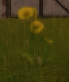 Maskros.png