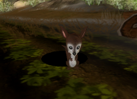 Chipmunk.png