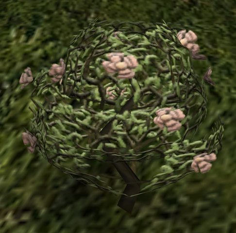 File:Lillith.png