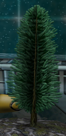 File:Willlonidia.png