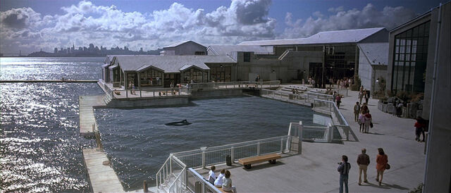 File:Cetacean Institute.jpg