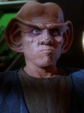 File:Mirror Quark.jpg