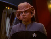 Nog 2374