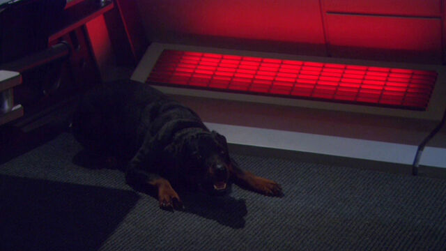 File:Porthos (mirror).jpg