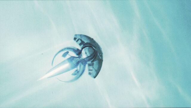 File:Jellyfish.jpg