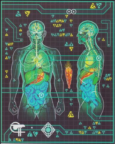File:Trill Internal Anatomy.jpg