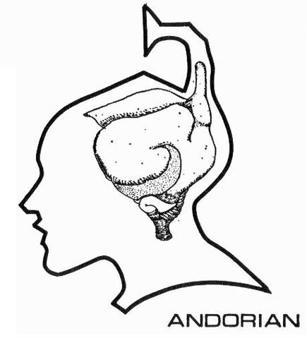 File:Andorian brain diagram.jpg