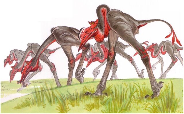 File:Stalking bird.jpg